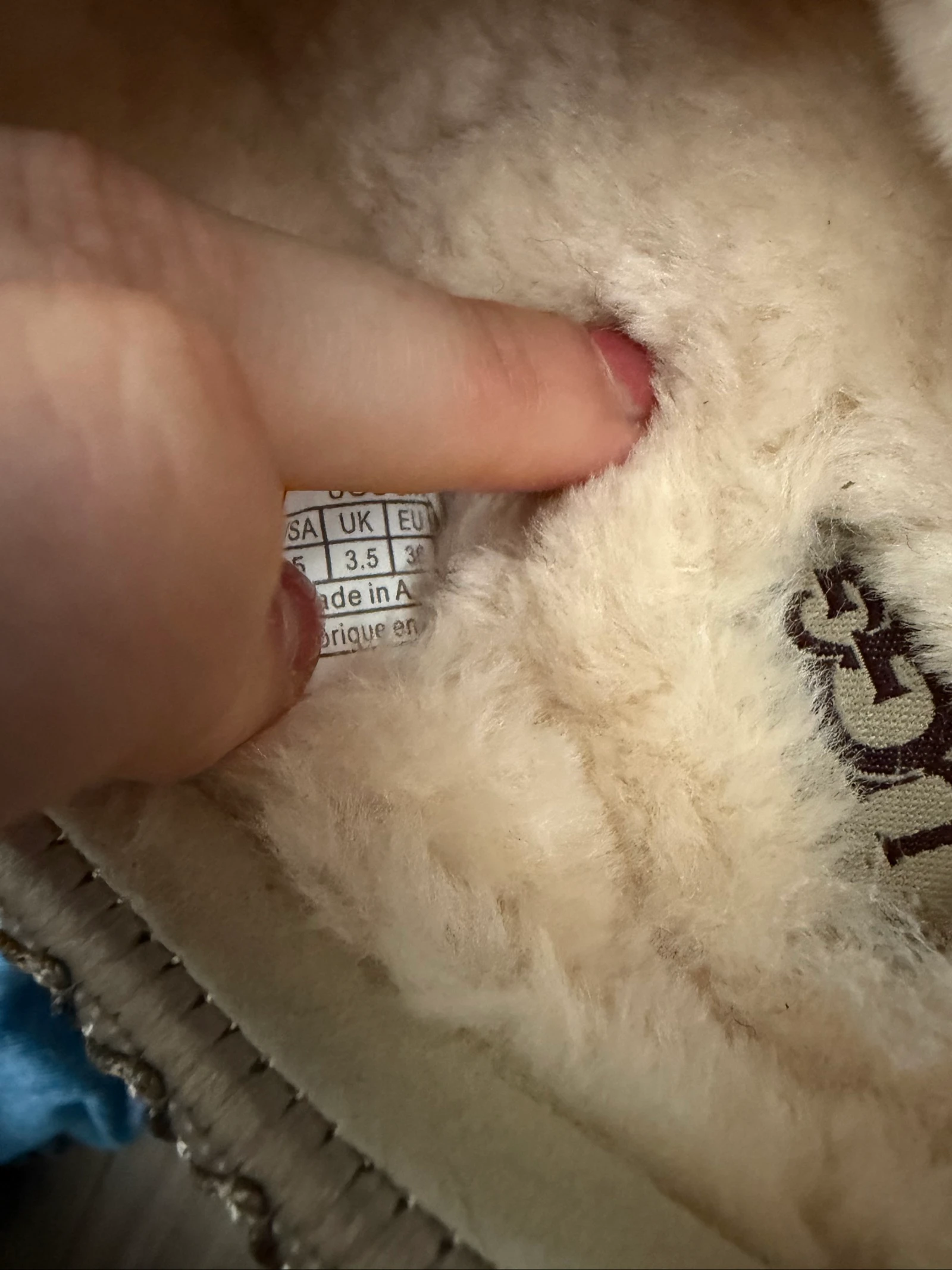 Ugg Tazz muiltjes  – photo 6